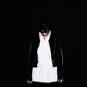 НЕЗАМЕНИМЫЙ