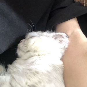 惩罚