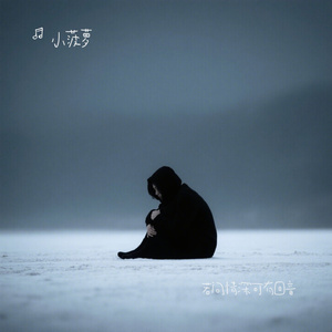 若问情深可有回音