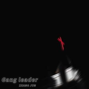Gang leader （DEMO)