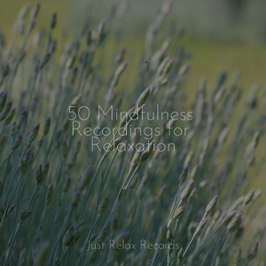 Jade Dreamscape Dance