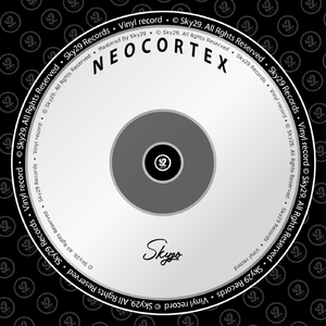 Neocortex