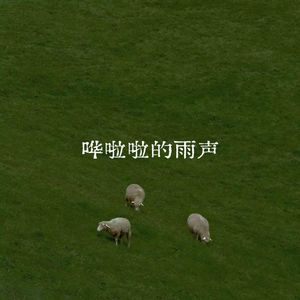 哗啦啦的雨声