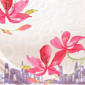 《紫荆花》- 演唱