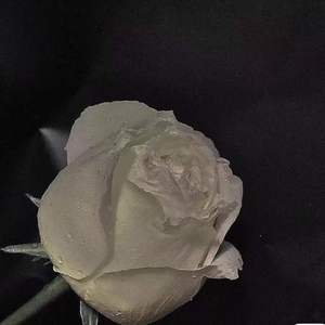 开往春天的地铁（鹿屿 remix）