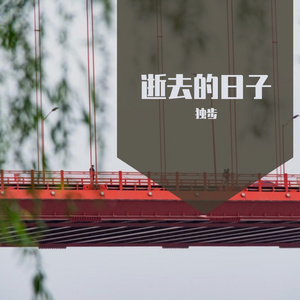 逝去的日子