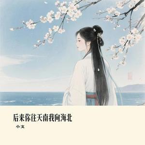 后来你往天南我向海北 (Cover 向思思)