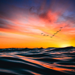 Caminado en la Orilla