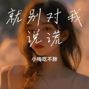 就别对我说谎