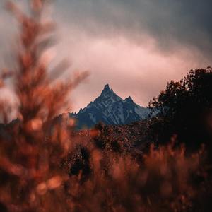 芳华慢＋霜雪千年（cove等什么君）