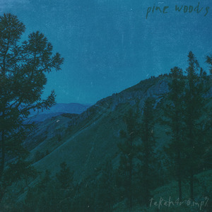 Pine Woods