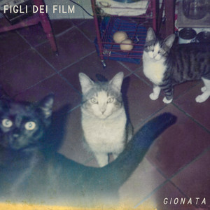 Groviglio