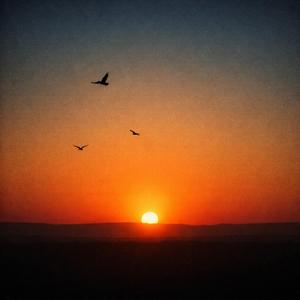 Ті, що пішли