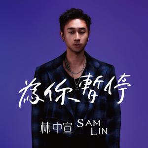 為你暫停 (Stop For You)