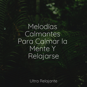 Primavera en El Ártico