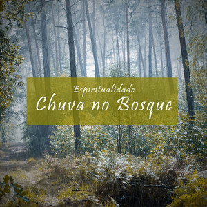 Espiritualidade: Chuva no Bosque, Pt. 25