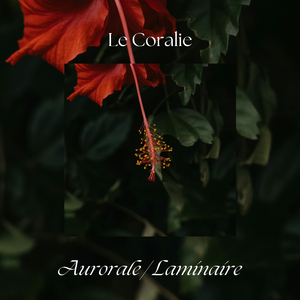 Laminaire