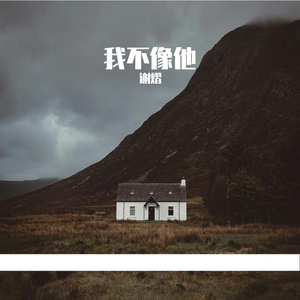 我不像他