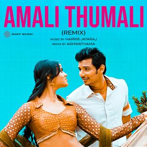 Amali Thumali (Remix)