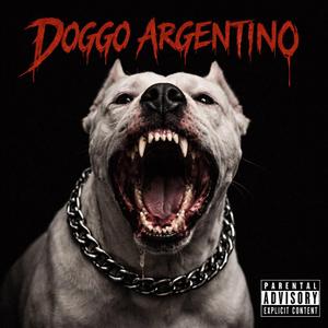 Doggo Argentino