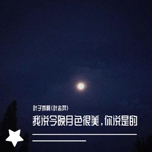 我说今晚月光那么美，你说是的