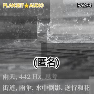 雨天, 442 Hz, 思考, 街道, 雨伞, 水中倒影, 逆行和花