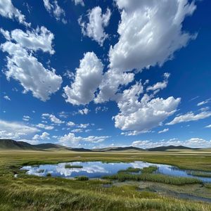 醒脑开窍·五音疗疾养生音乐