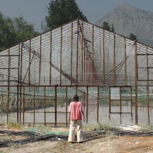 Напольная вода