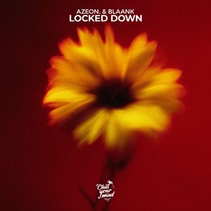 Locked Down