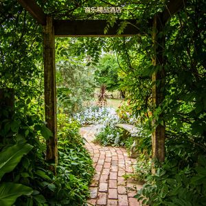 读伤感的轻音乐