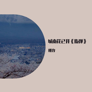 城南花已开《指弹》