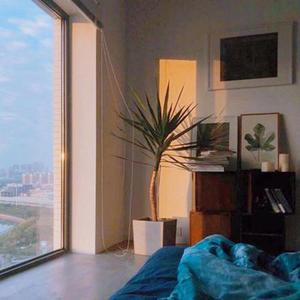 金玉良缘（片段）