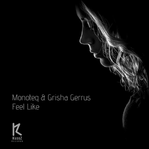 Feel Like (Andrey Kravtsov Remix)
