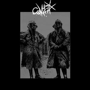 MicroplasticCorrodingMy****ingBrain