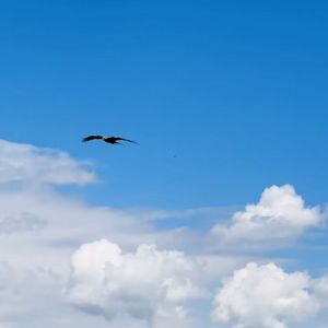 竹影摇水映云间