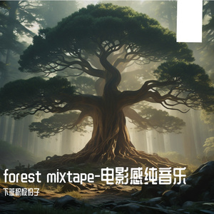 forest mixtape-电影感纯音乐
