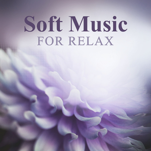 Cello Suite No. 2 in D Minor, BWV 1008: I. Prelude