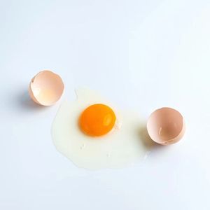 鸡蛋（Talk Flow ） Freestyle