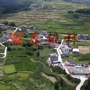 世外桃源我的家-（桃林镇）