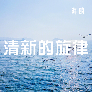 清新的旋律（海鸥）