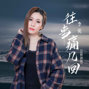 往事痛几回 (DJ默涵版)