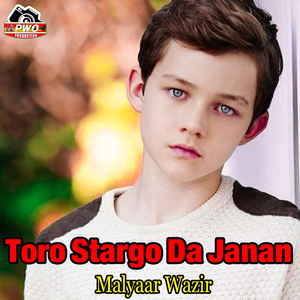 Toro Stargo Da Janan
