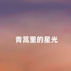 青蒿里的星光