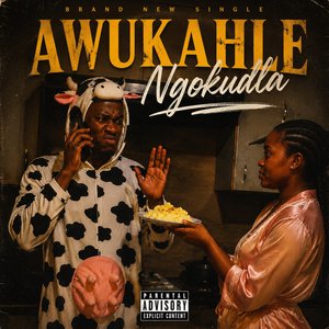 Awukahle Ngokudla