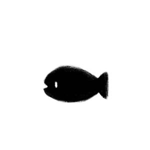 写在风中的一封信