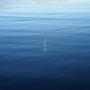 一条房间海