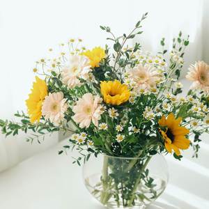 Honey Where Do You Bee?