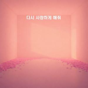 다시 사랑하게 해줘