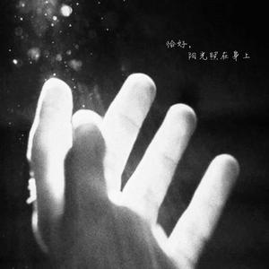 恰好阳光照在身上