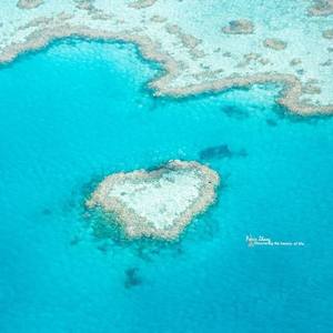 今天也想见到你